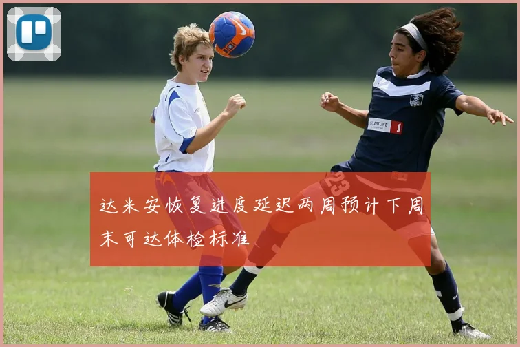 达米安恢复进度延迟两周预计下周末可达体检标准