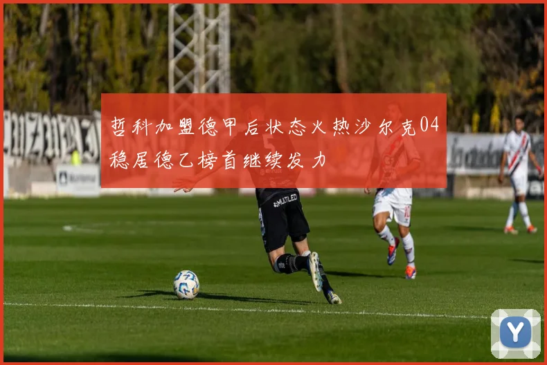 哲科加盟德甲后状态火热沙尔克04稳居德乙榜首继续发力