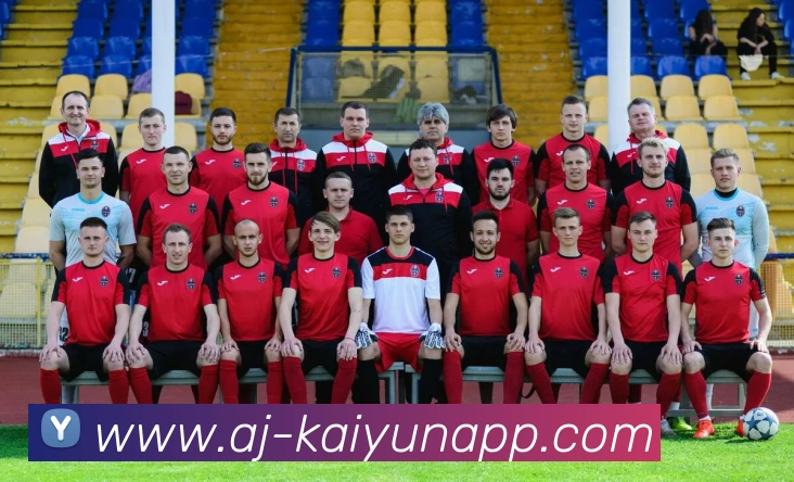 开云体育服务体系